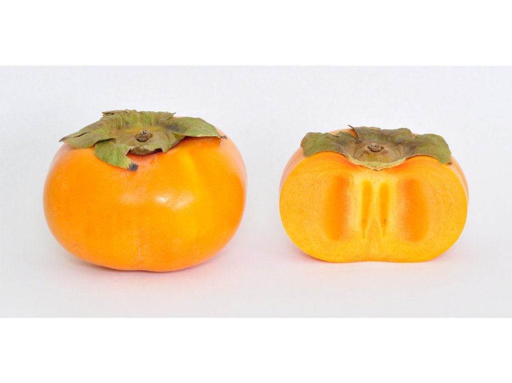 Diospyros kaki ´Jiro´ - japanese persimmon /SUMMER 2026/