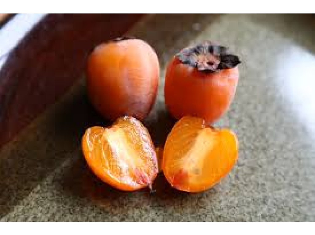 Diospyros virginiana ´Geneva Red´ - hardy persimmon