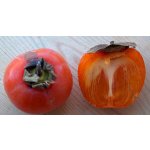 Persimmons hybrids