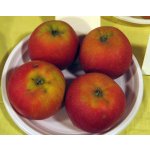Apples
