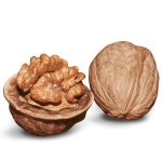Walnuts