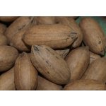 Walnuts and other nuts (pekans, hycans, carria at all.)