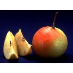 Other fruit species