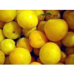 Asian plums