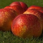 Peaches and nectarines