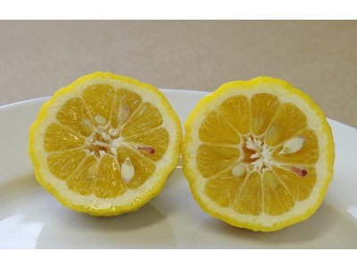 Citradia ´C.P.B. - 39'