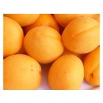 Apricots