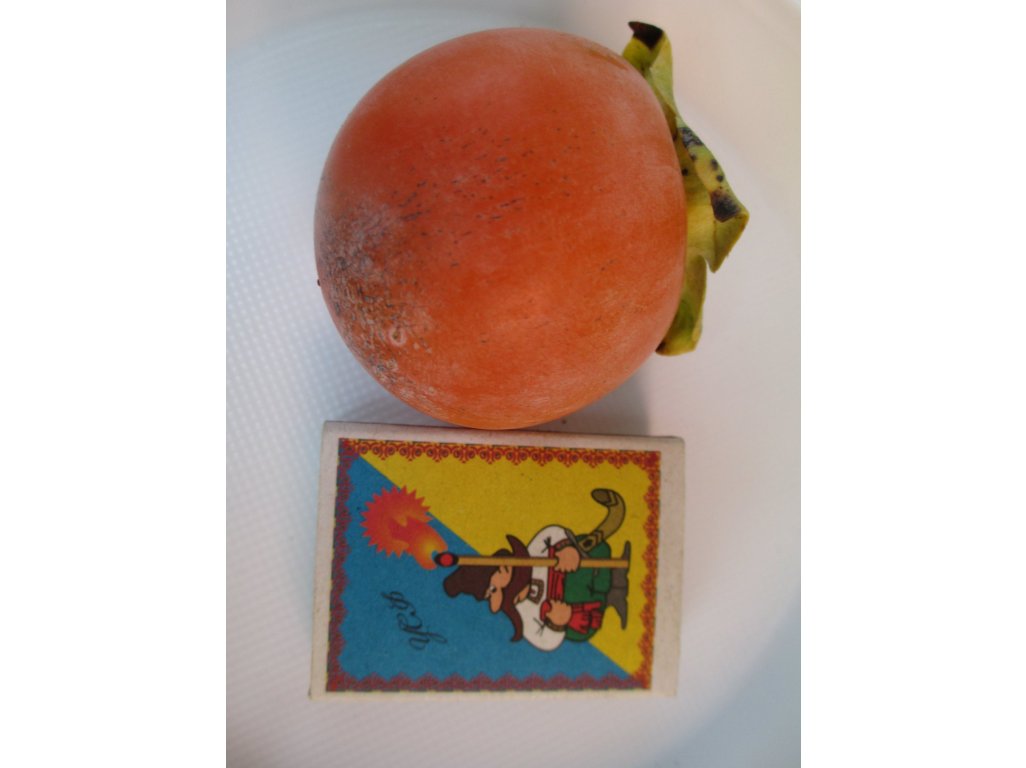 Diospyros x hybrida ´Chuchupaka´ - hardy persimmon /diospyros virginiana /SUMMER 2026/