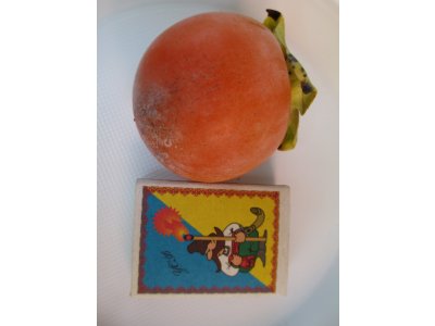 Diospyros x hybrida ´Chuchupaka´ - hardy persimmon /diospyros virginiana /SUMMER 2026/