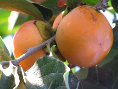 Production in progress "We are preparing".