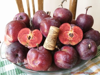 Malus domestica ´Simontornyai Véralma´ - red flash apple MEGA NEWS
