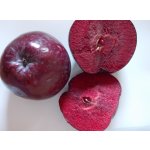 Malus domestica ´Simontornyai Véralma´ - red flash apple MEGA NEWS