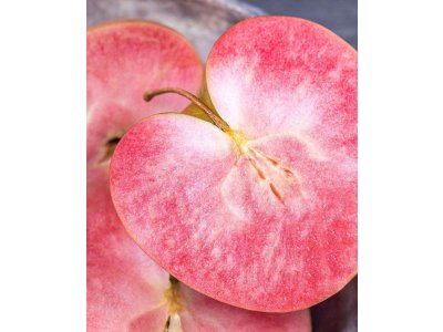 Malus domestica ´Almata´ - red flash apple MEGA NEWS