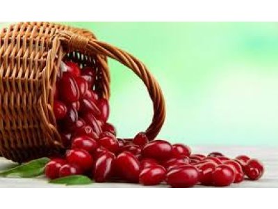 Cornus mas ´Express´ - big fruit Cornelian Cherry