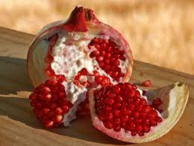 Punica granatum ´Al Sirin Nar´ - hardy pomegranate /MEGANEWS/