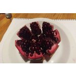 Punica granatum ´Kirmiz-Kabukh´ (Kamesz / Kermez) - hardy pomegranate /MEGANEWS