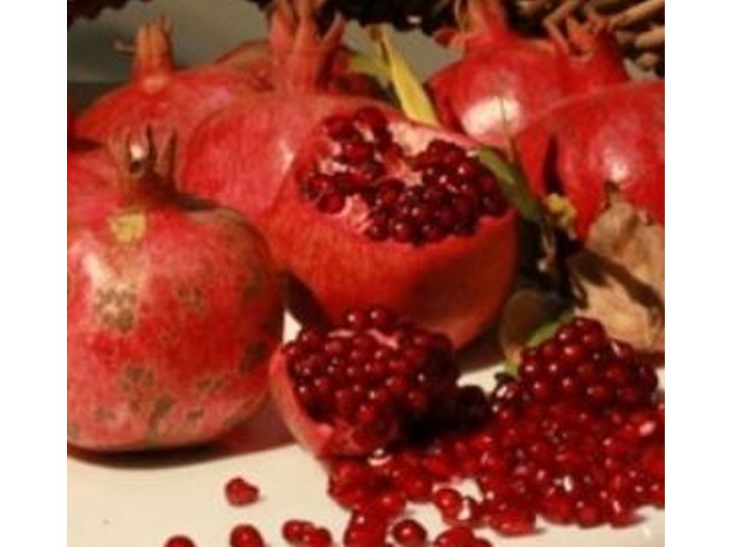 Punica granatum ´Göycay´ - hardy pomegranate /MEGANEWS/