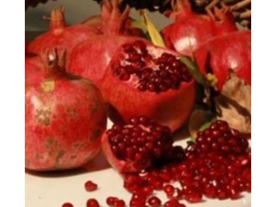 Punica granatum ´Göycay´ - hardy pomegranate /MEGANEWS/