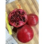 Punica granatum ´Örmény´ - hardy pomegranate /MEGANEWS